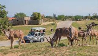 Le safari des Peaugres