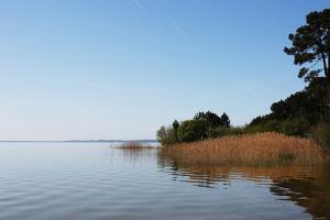 Le lac de Cazeau-Sanguinet 